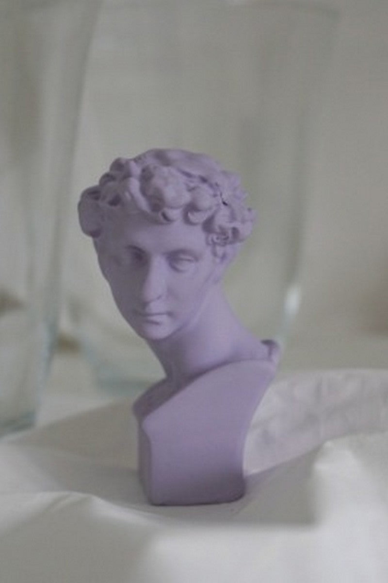 Michelangelo Resin Classic Busts