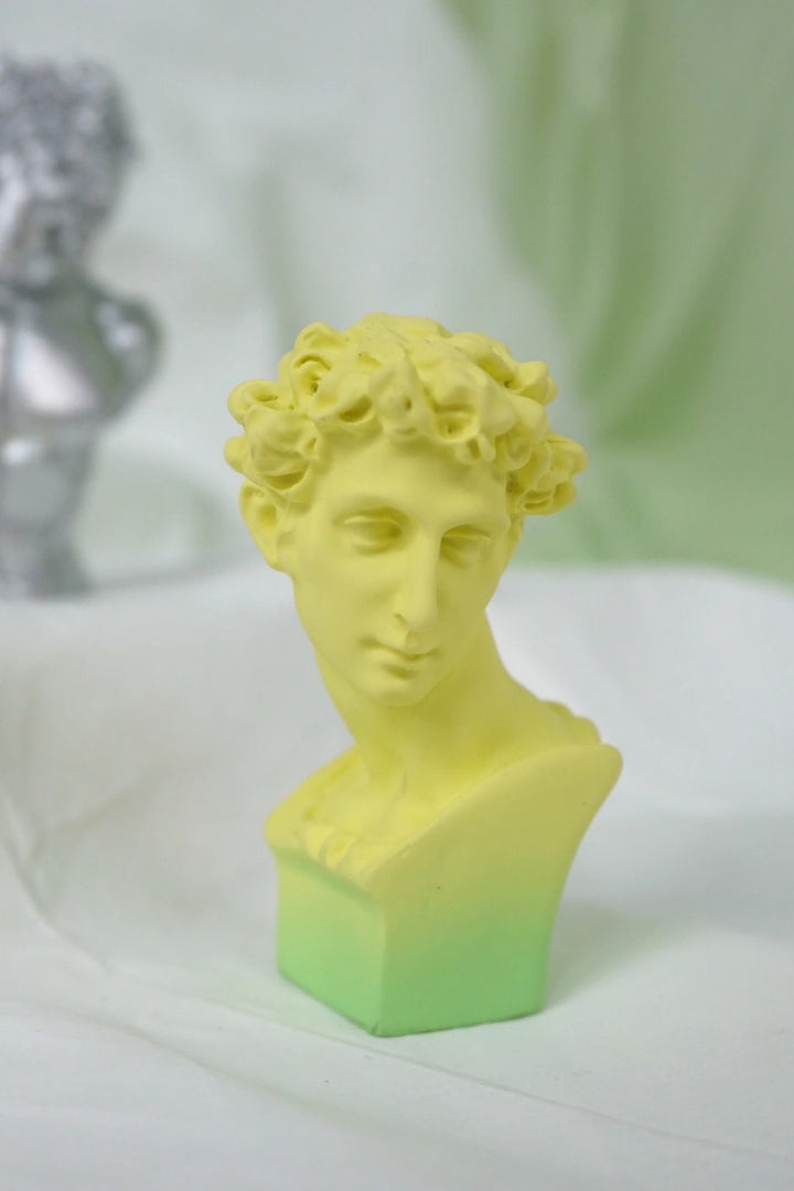 Michelangelo Resin Classic Busts