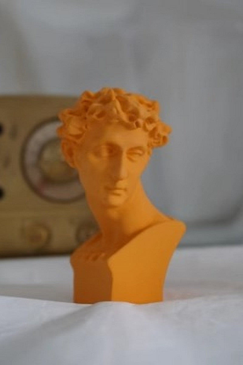 Michelangelo Resin Classic Busts