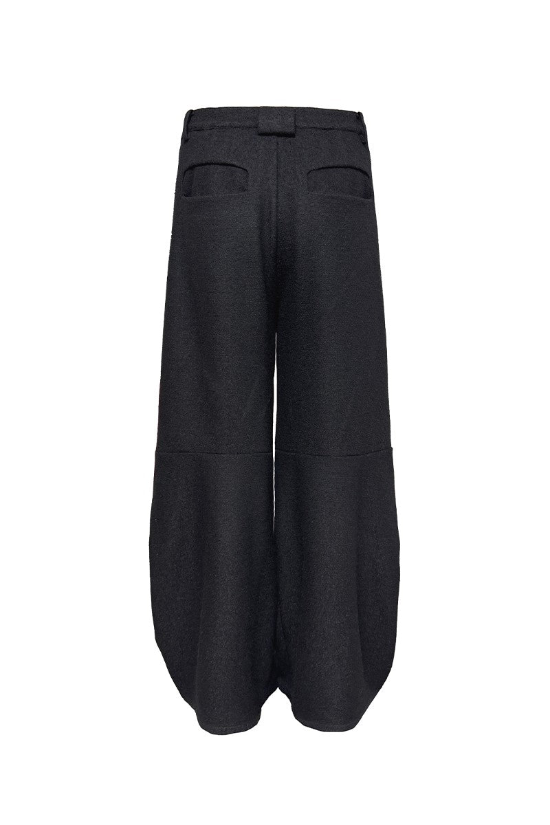 Pleated Wool Panel Wide Pants