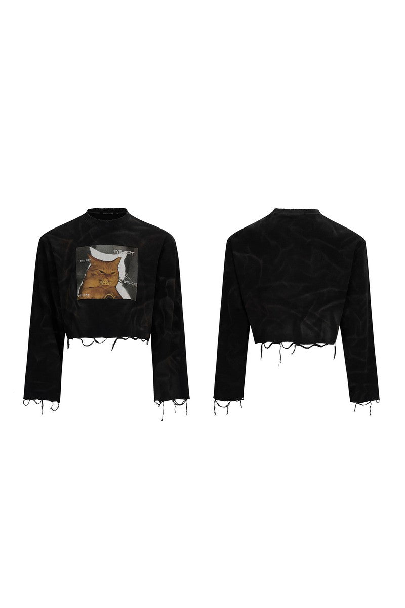Graphic Distressed Cropped Tee