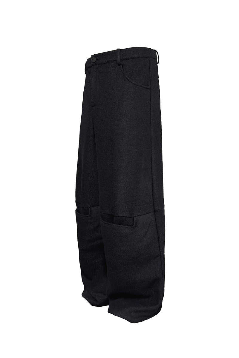 Pleated Wool Panel Wide Pants