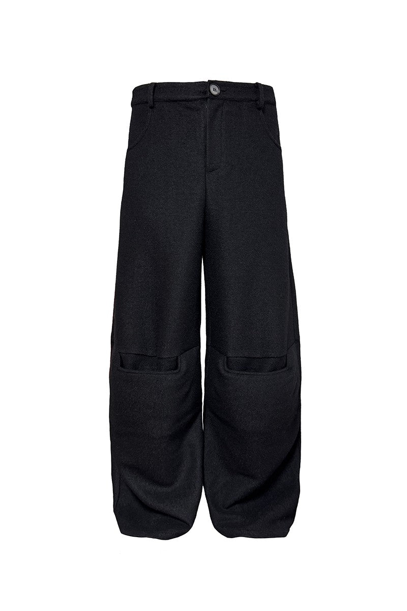 Pleated Wool Panel Wide Pants