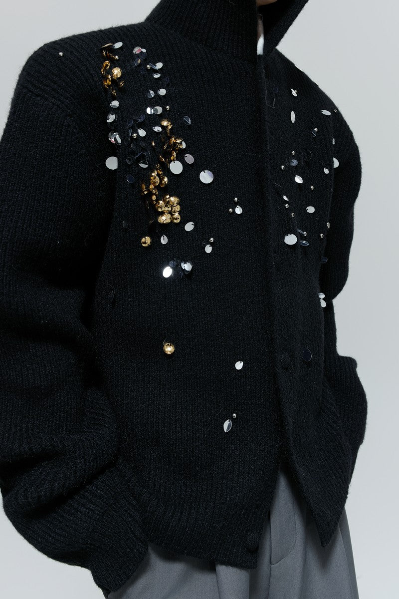 Sequin Turtleneck Knit Sweater