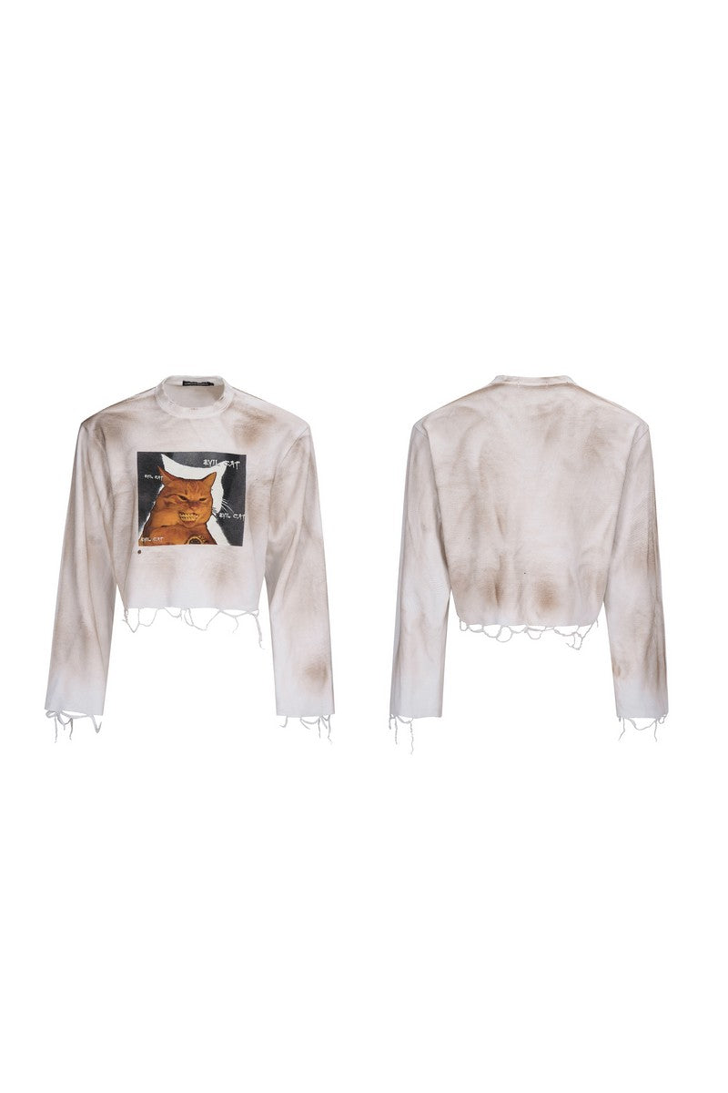 Graphic Distressed Cropped Tee