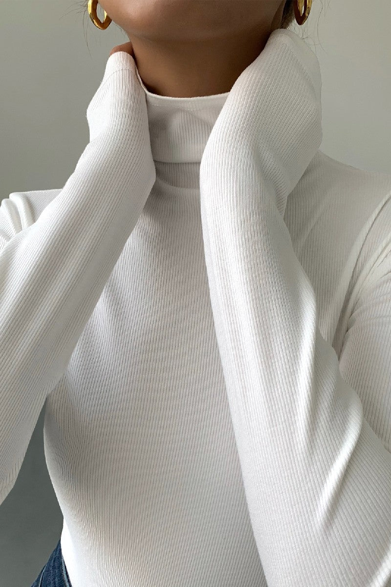 Slim Fitting Knit Turtleneck