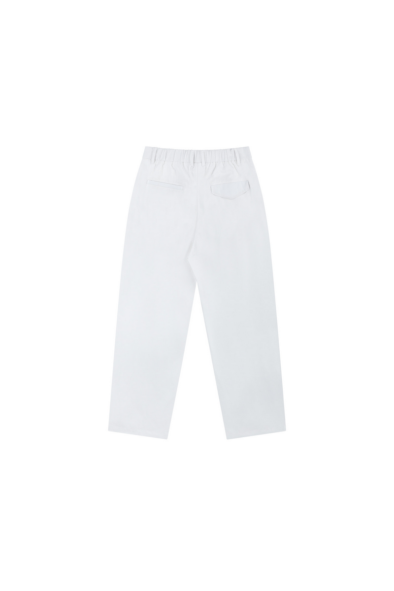 Double Pleat Tapered Pants