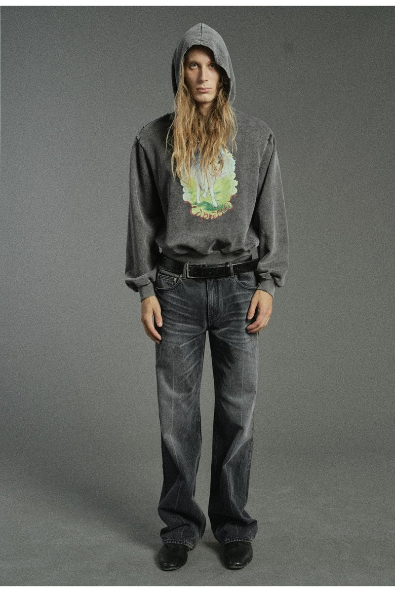 Washed Lamb Graphic Hoodie — original product photograph