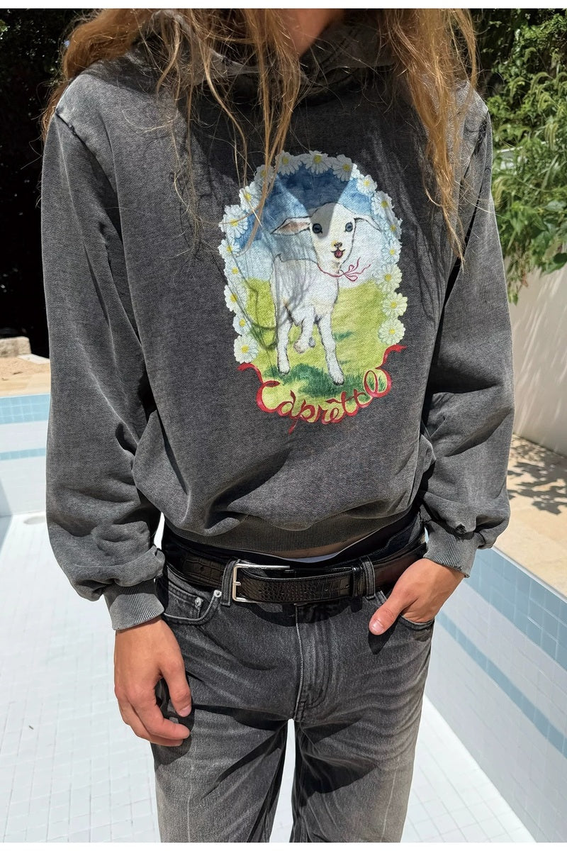 Washed Lamb Graphic Hoodie — original product photograph