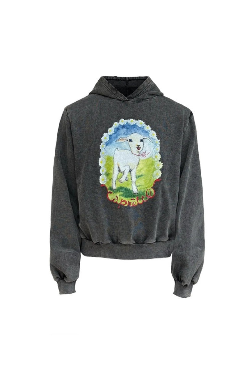 Washed Lamb Graphic Hoodie — original product photograph